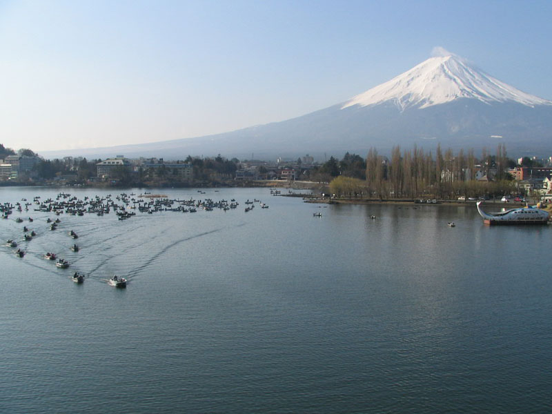 【写真クリックで前の画面に戻ります】　 