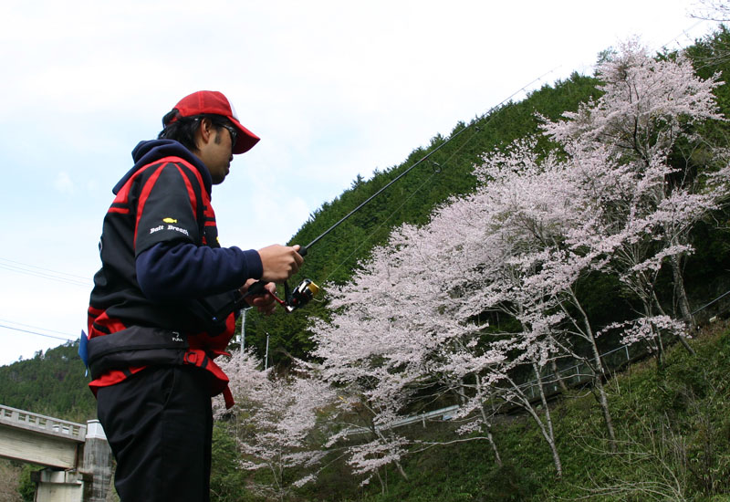 【写真クリックで前の画面に戻ります】　 