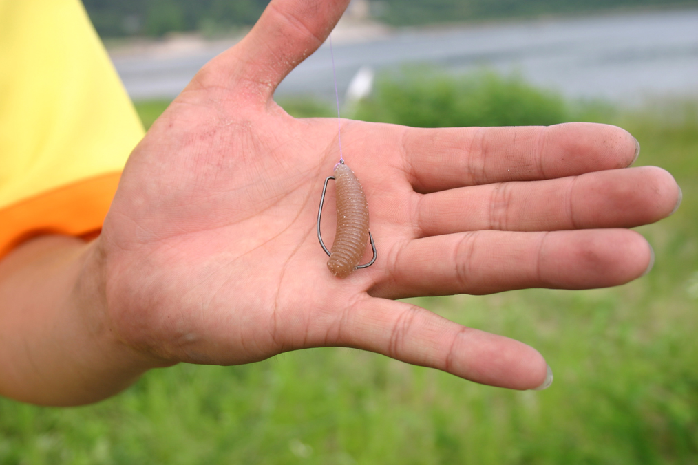 【写真クリックで前の画面に戻ります】　 