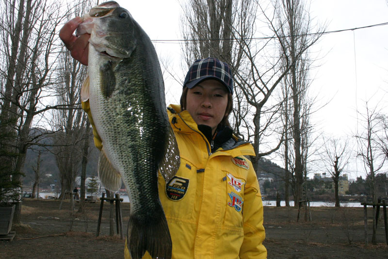 【写真クリックで前の画面に戻ります】　 