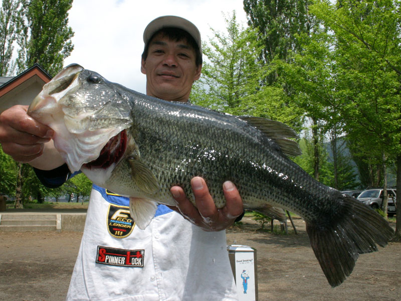 【写真クリックで前の画面に戻ります】　 