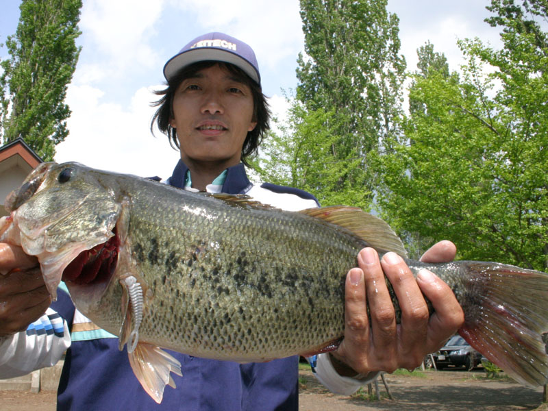 【写真クリックで前の画面に戻ります】　 