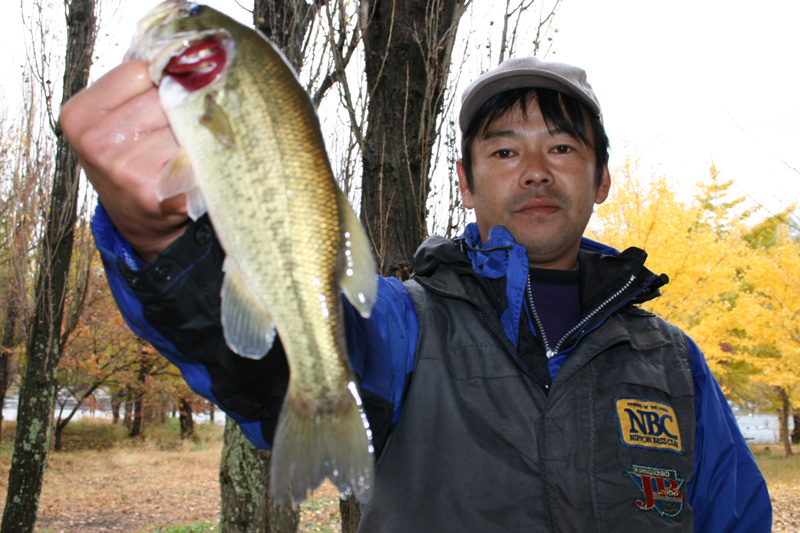 【写真クリックで前の画面に戻ります】　 