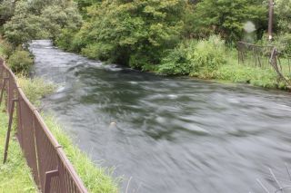 アウトレットではもの凄い水量で排水されている