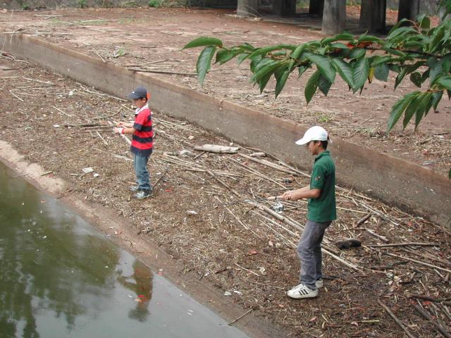 【写真クリックで前の画面に戻ります】　 