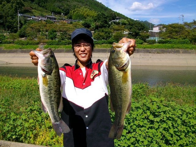 NBCチャプター愛媛第5戦エバーグリーンCUP上位のフィッシングパターン写真 2014-09-14愛媛県野村ダム