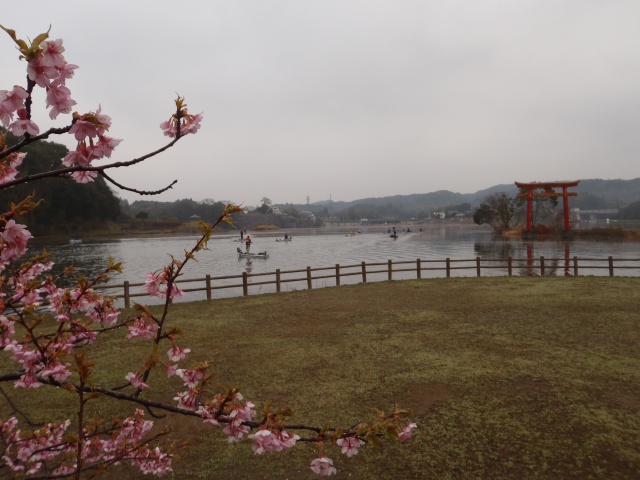 NBCチャプター房総第1戦ノリーズCUP概要写真 2015-03-18千葉県亀山ダム