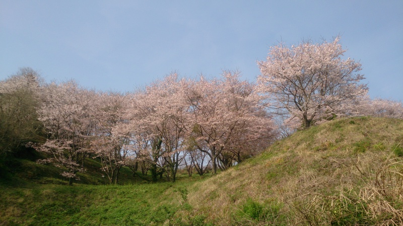 NBCチャプター広島第2戦イマカツCUP概要写真 2016-04-10広島県・山口県弥栄湖