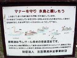 2003-03-22 09:14:29+09/初日のミーティングで禁止エリアとなった、水鳥保護エリアを見学。志那漁協のちょっと南にあります。