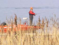 2003-03-23 08:51:51+09/と、河口湖在住選手が木の浜に大集合