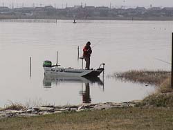 2003-03-23 09:33:54+09/さて、琵琶湖博物館を後にして再び湖週道路を南下。先ほどの井手が内湖へ。カバー撃ち。