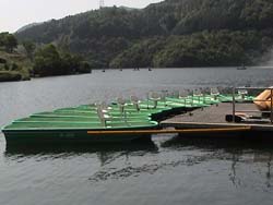 2003-05-17 14:33:05+09/会場となった弥栄湖レンタルボートさんのボート。フットターボがたくさん。