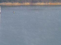 2004-03-27 07:16:09+09/上手く写ってませんが・・・。急に冷えたため湖面には湯気が。