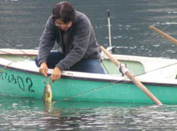 2004-10-10 09:11:13+09/岸釣り優先エリアは頻繁に釣れる皮肉