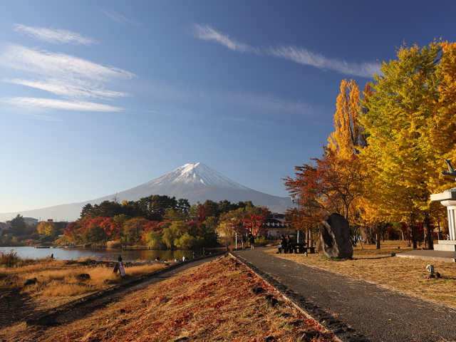 黄&紅葉の大池公園と冠雪富士山