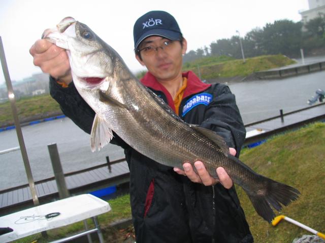【写真クリックで前の画面に戻ります】　2006-05-07 00:00:00+09静岡県浜名湖 